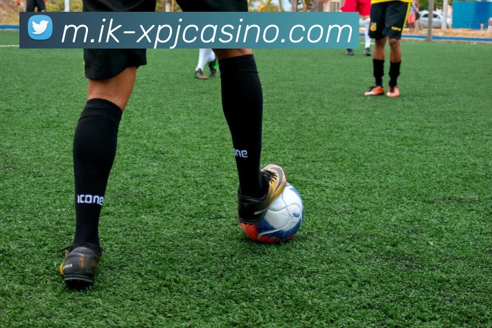 新葡京娱乐APP 封面图